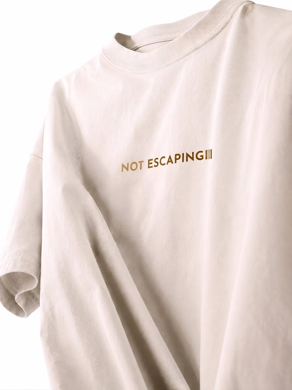 Crane Oversized T-shirt